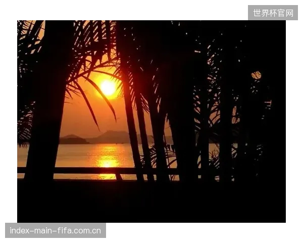 尽管高损耗因子测试技术已成熟，但其应用大多集中在昂贵的成人高端拍上，而身体发育尚未成熟、更需要振动保护的青少年训练市场却鲜有获益