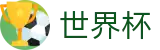 FIFA 2026世界杯 - World Cup注册与登录入口 - 官方认证唯一发布